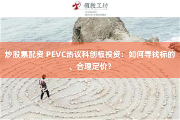 炒股票配资 PEVC热议科创板投资：如何寻找标的、合理定价？