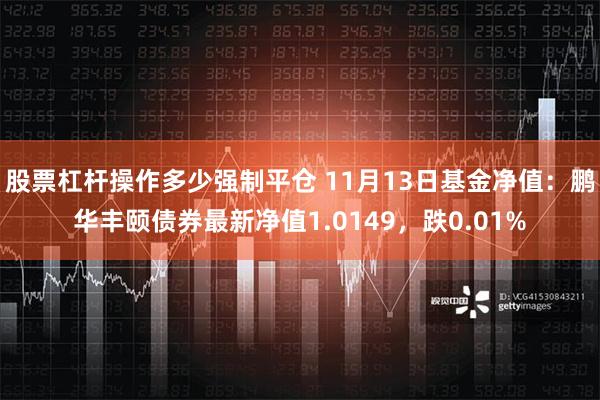 股票杠杆操作多少强制平仓 11月13日基金净值：鹏华丰颐债券最新净值1.0149，跌0.01%