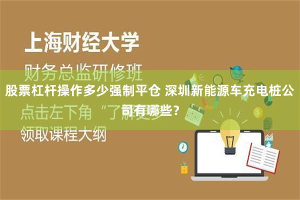 股票杠杆操作多少强制平仓 深圳新能源车充电桩公司有哪些？