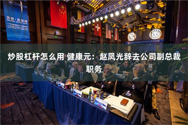 炒股杠杆怎么用 健康元：赵凤光辞去公司副总裁职务