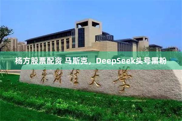 杨方股票配资 马斯克，DeepSeek头号黑粉