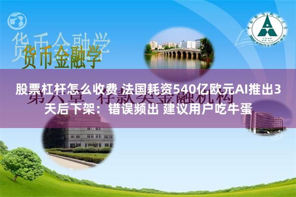 股票杠杆怎么收费 法国耗资540亿欧元AI推出3天后下架：错误频出 建议用户吃牛蛋